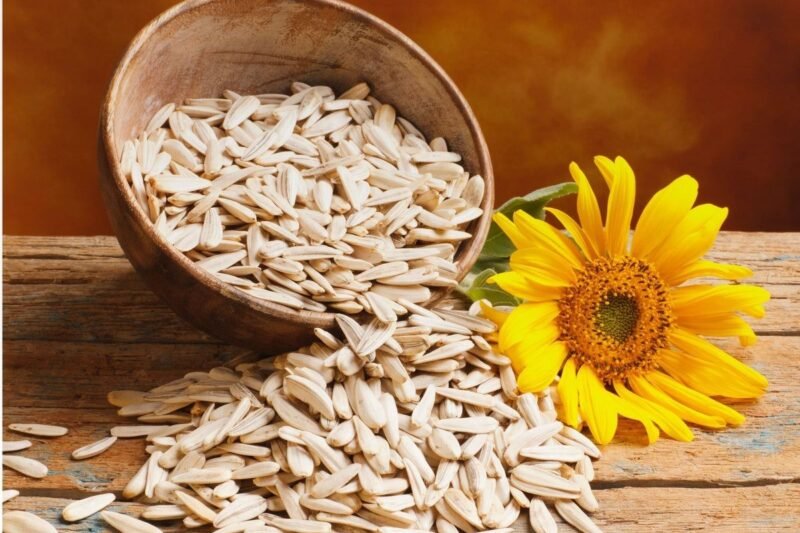 Semente de Girassol: Benefícios, Como Consumir e Onde Comprar com Segurança